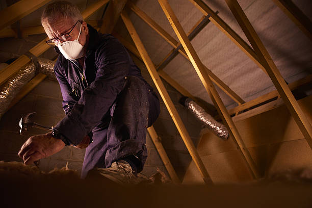 Best Insulation Maintenance and Repair in Hillsdale, NJ